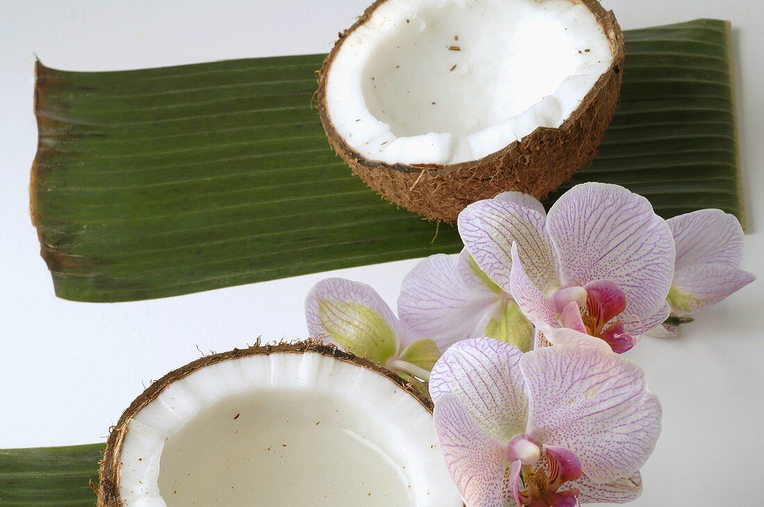 Coconut halves and orchid flowers