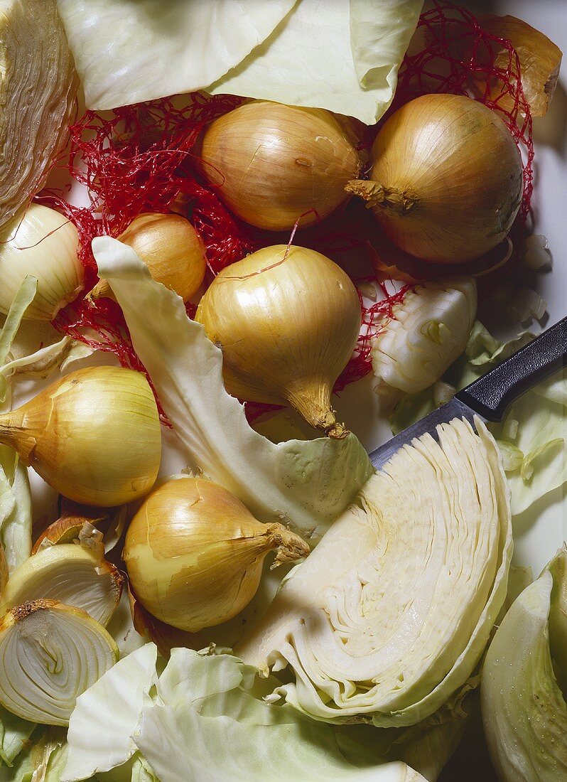 White cabbage and onions