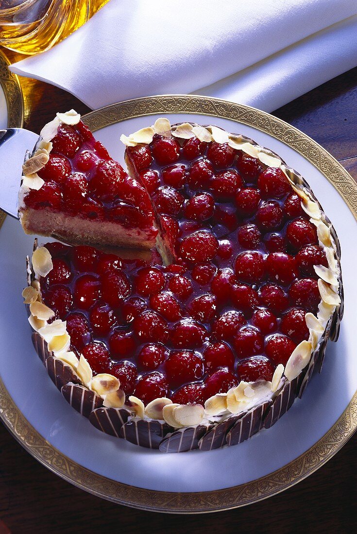 Himbeerkuchen mit Schokoladenblättchen