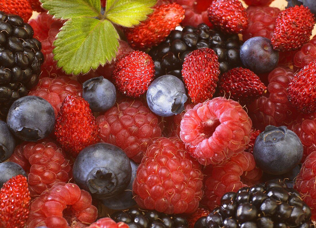 Fresh berries (full-frame)
