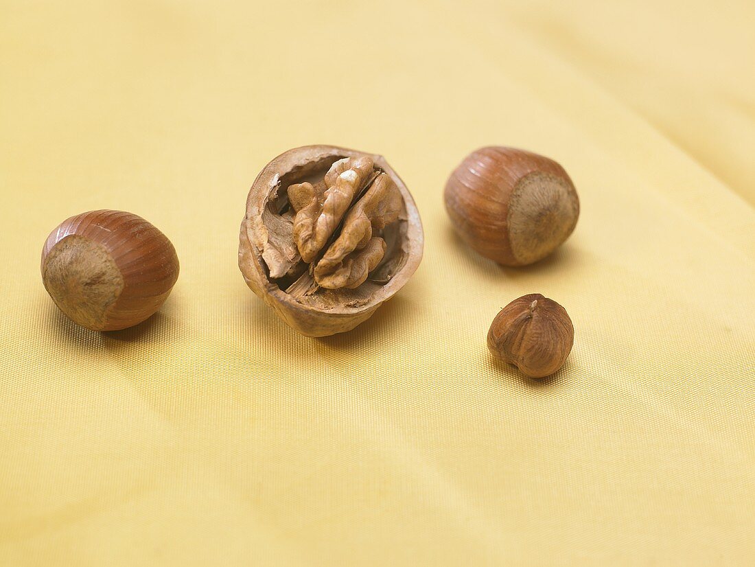 Walnut and hazelnuts