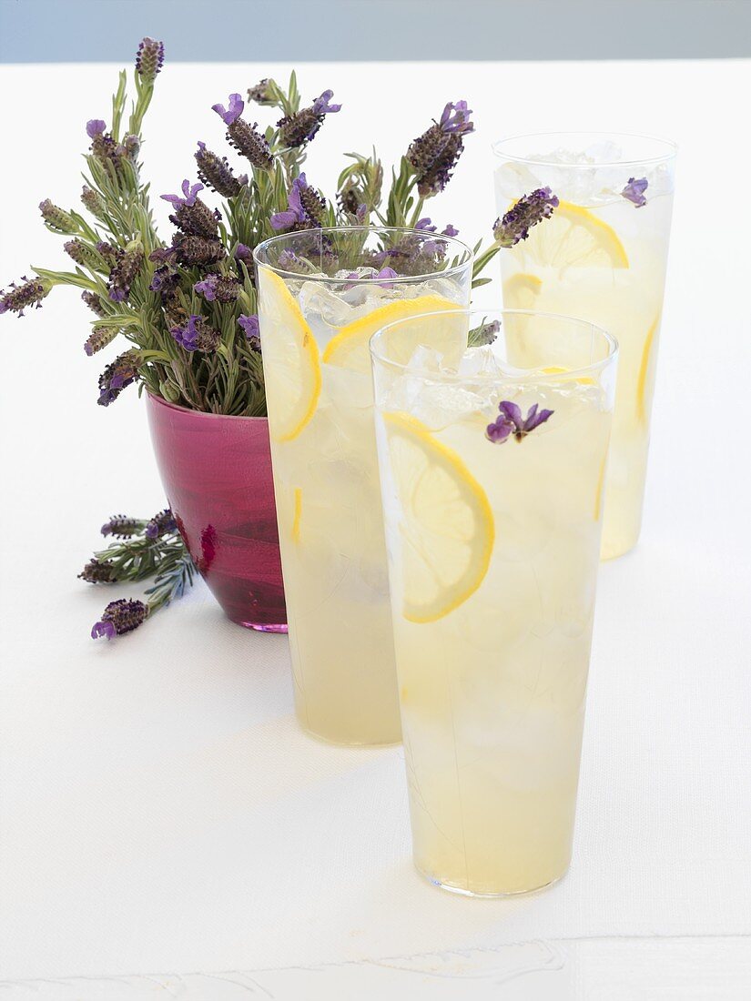 Drei Gläser Lavendel-Limonade, im Hintergrund Lavendelblüten