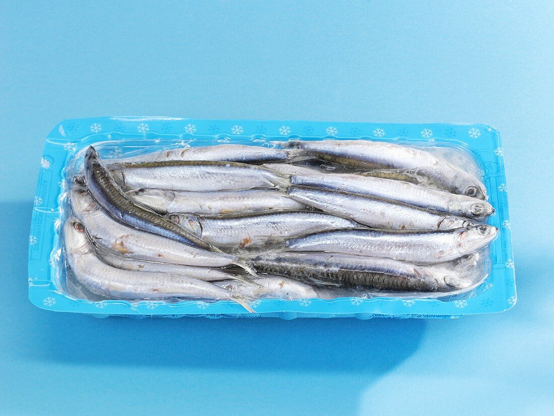 Frozen anchovies