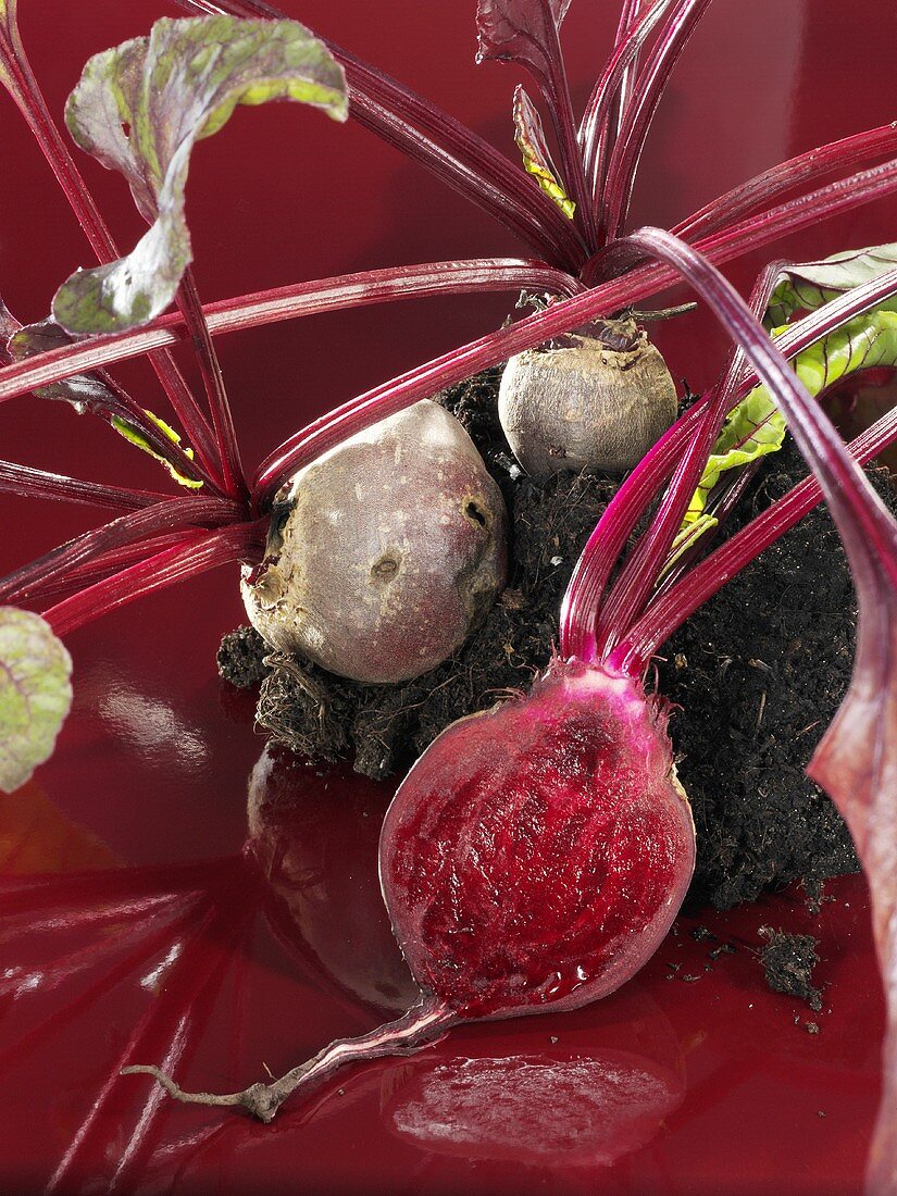 Beetroot with soil