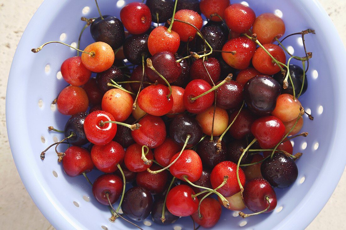 Sweet cherries in a colander