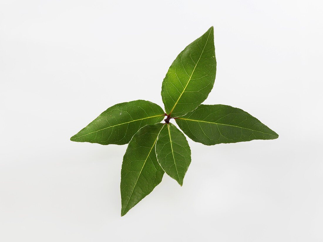 Bay leaves