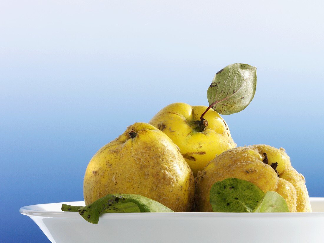 Quinces in a bowl