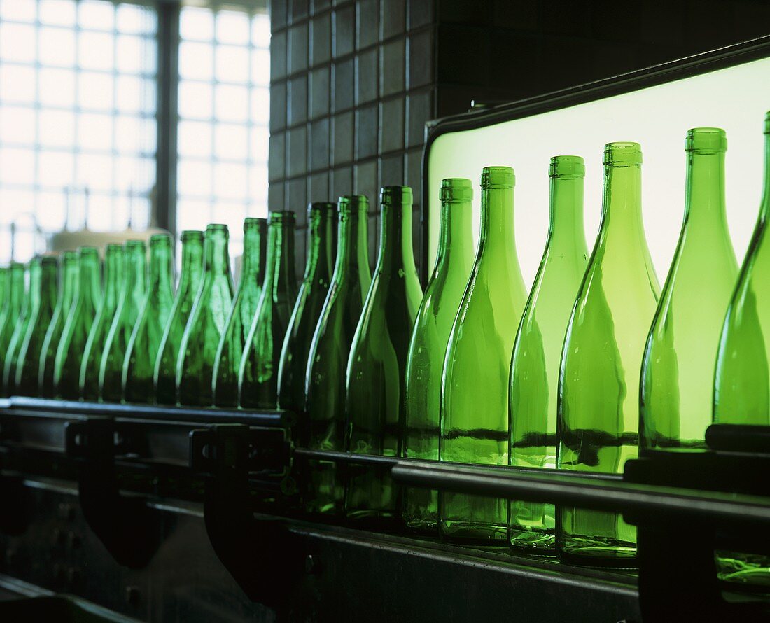 Empty wine bottles in a bottling plant
