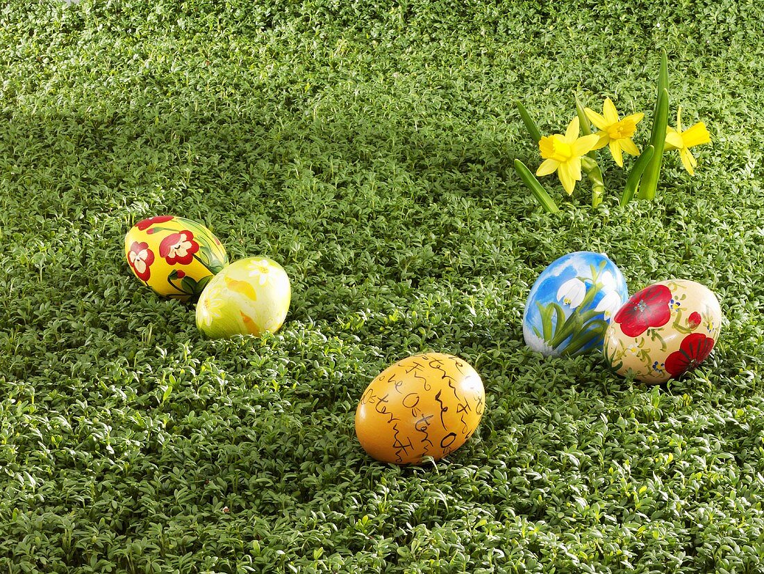 Painted Easter eggs in a 'field' of cress