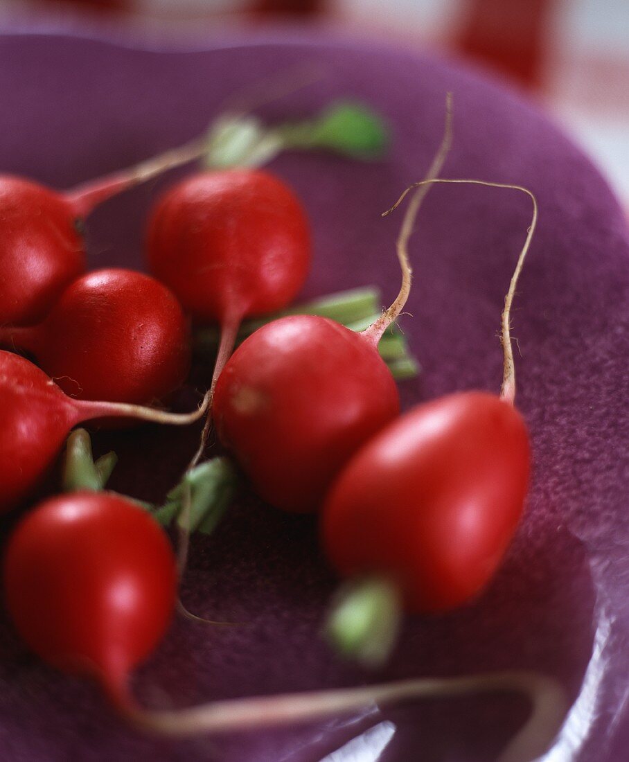 Radishes