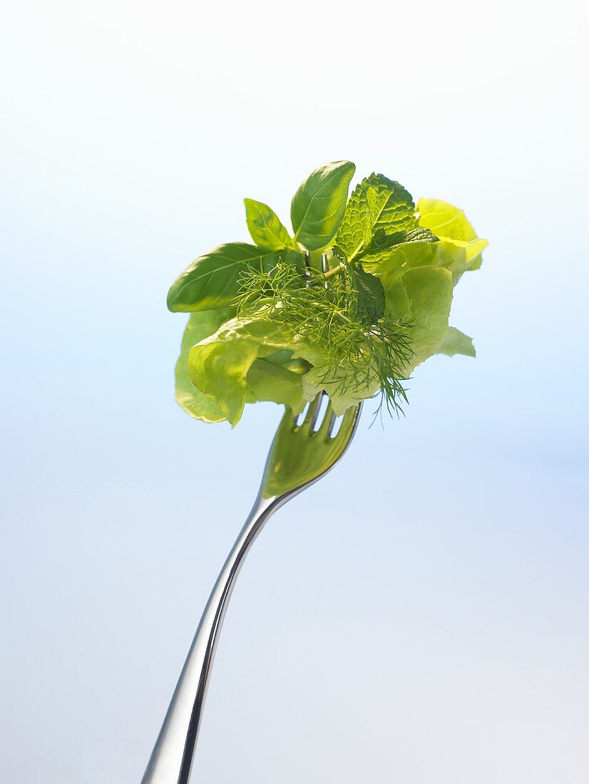 Lettuce and herbs on a fork