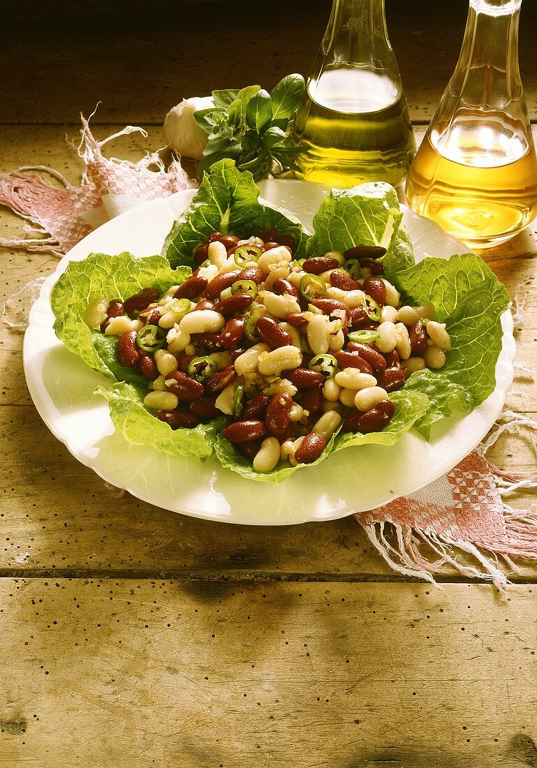 Red-White Bean Salad