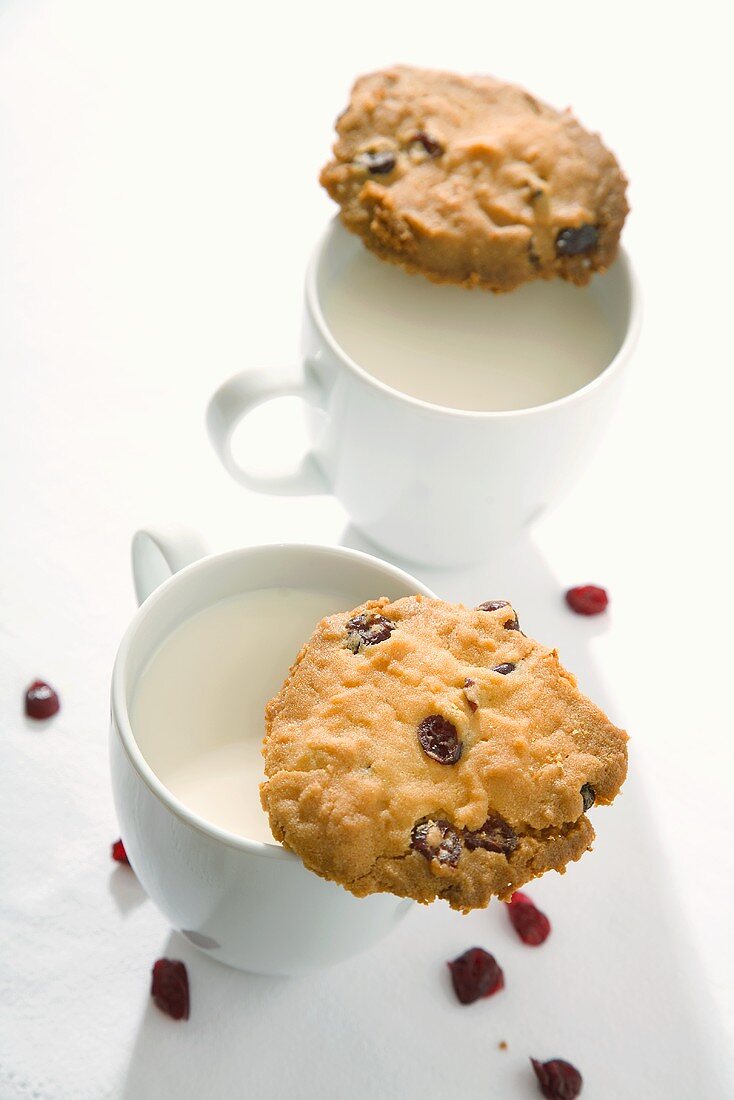 Two cranberry cookies and two cups of milk