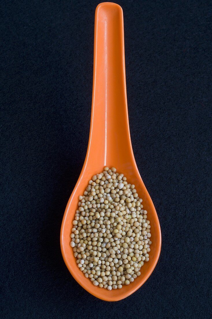 Mustard seeds on orange spoon