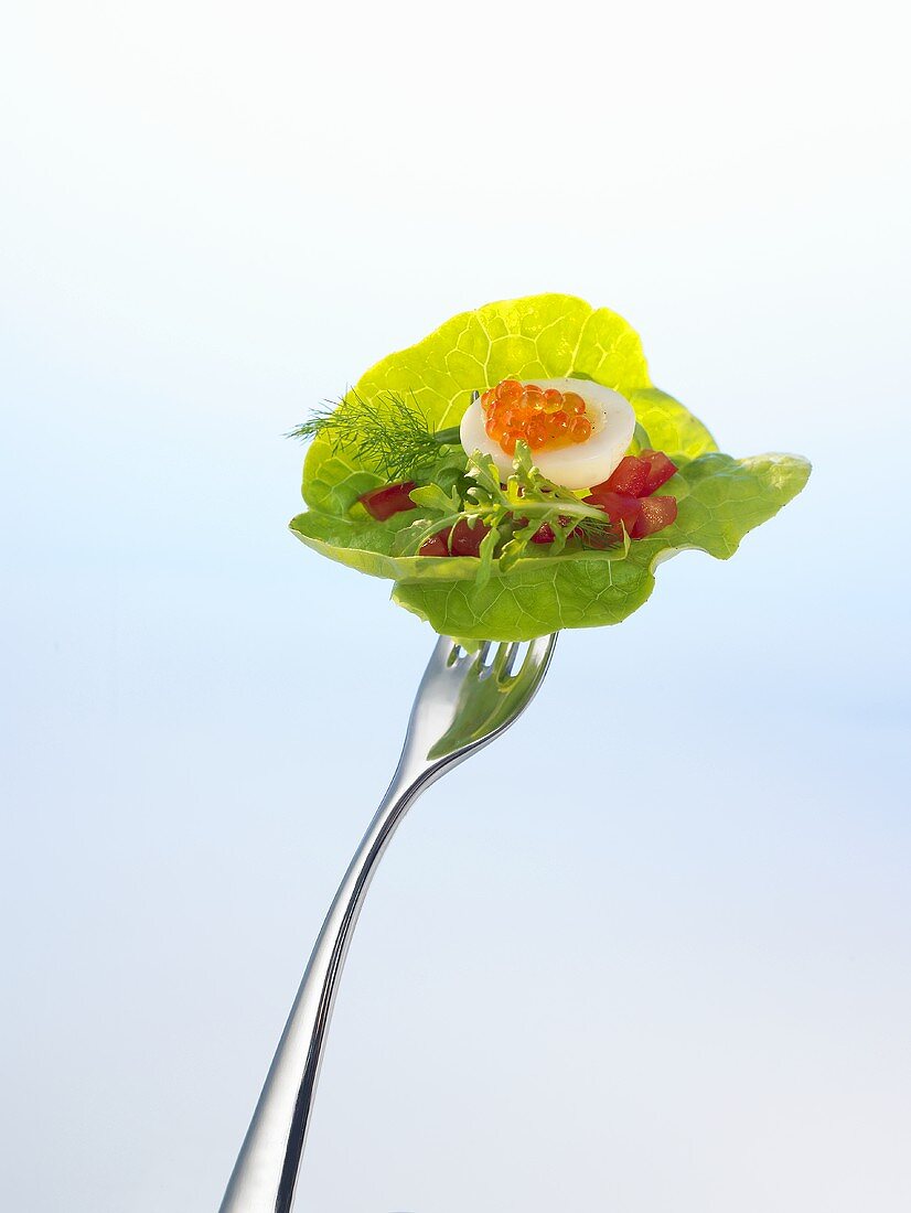 Salad, quail's egg and red caviar on a fork