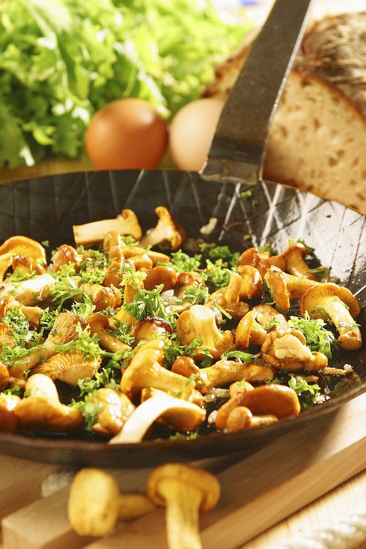 Fried chanterelles in frying pan