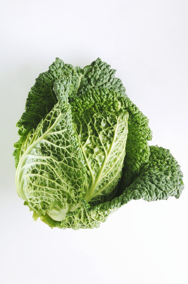 A savoy cabbage