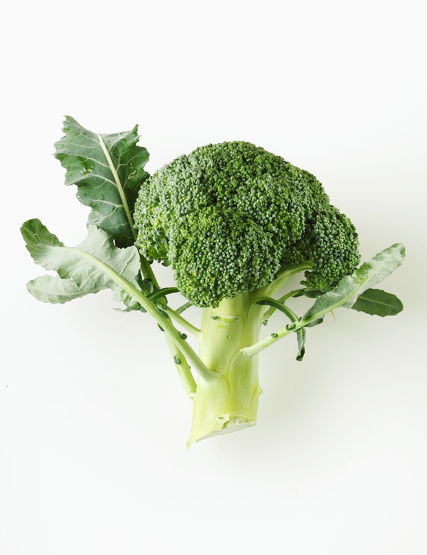 Ein Broccoliröschen