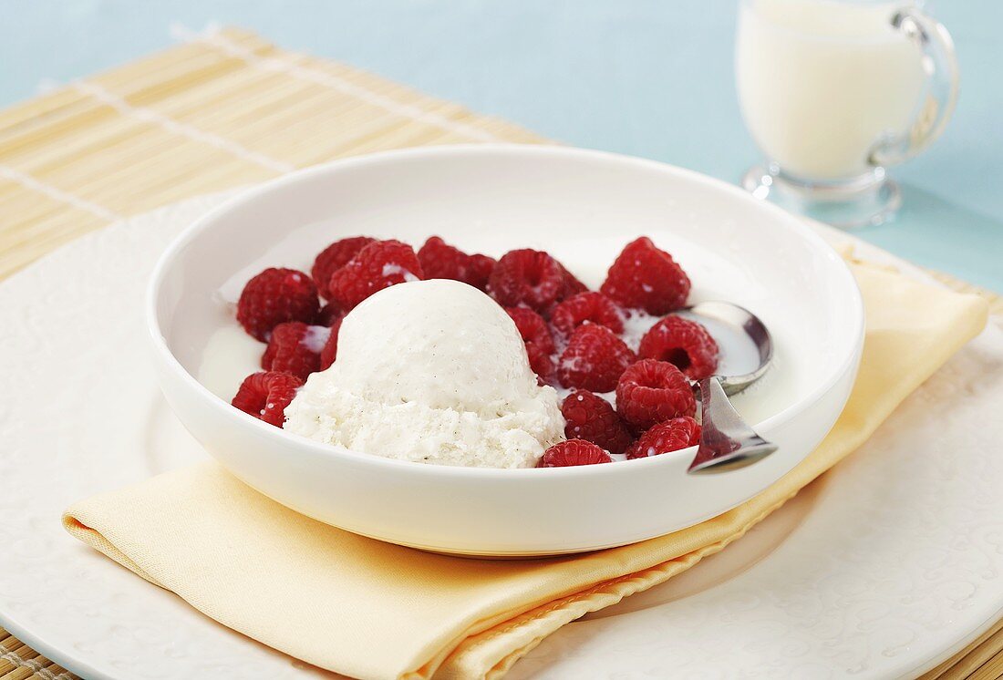 Vanilla Bean Ice Cream with Fresh Raspberries; In Bowl; Spoon
