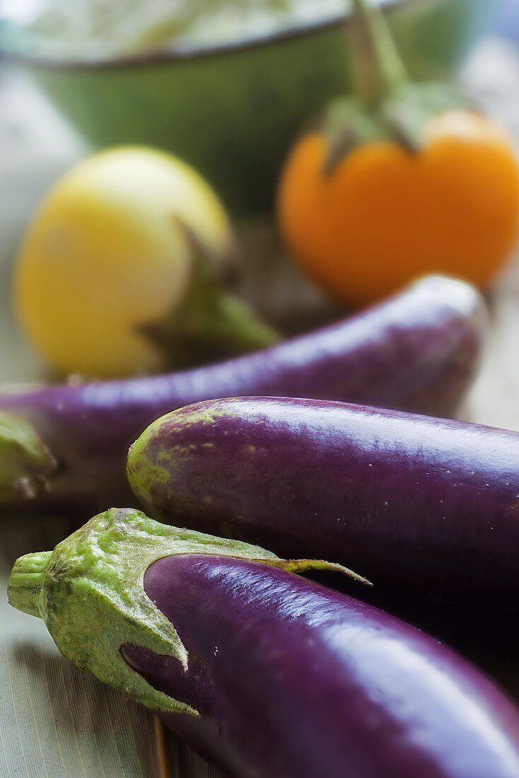 Variety of Types of Eggplants