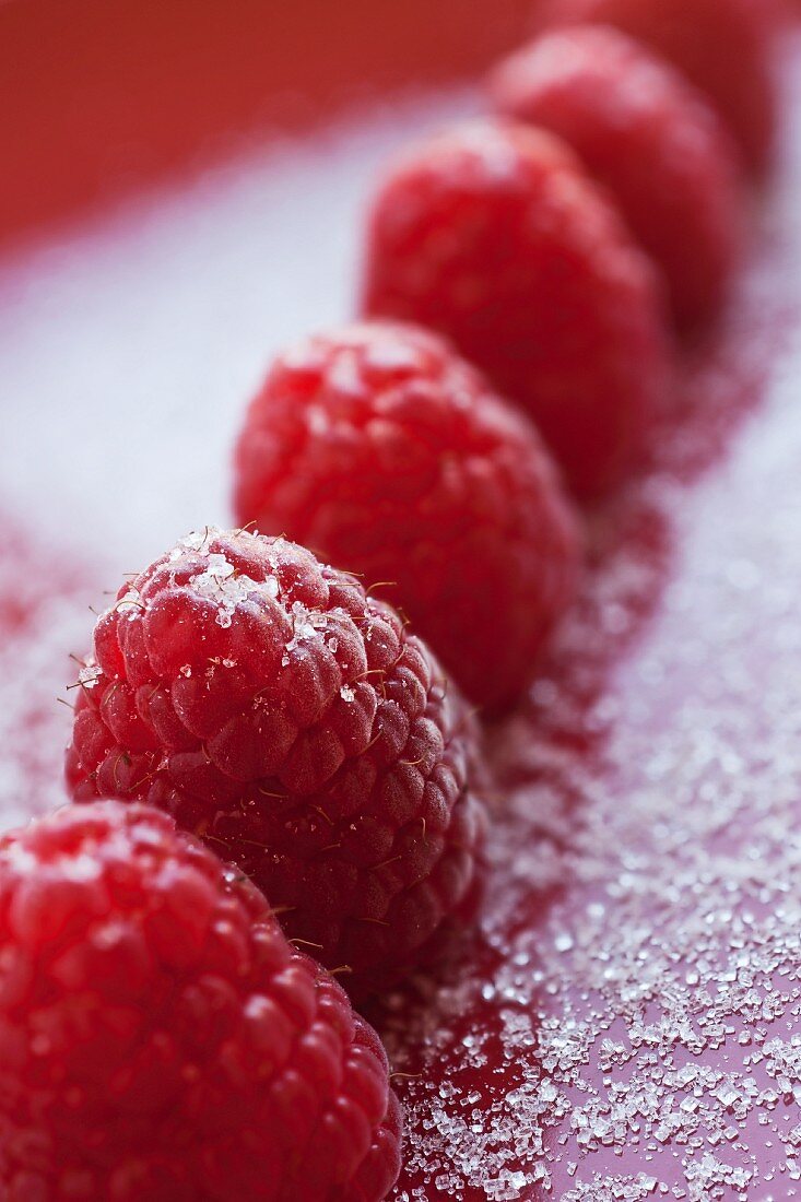 A row of raspberries (close up)