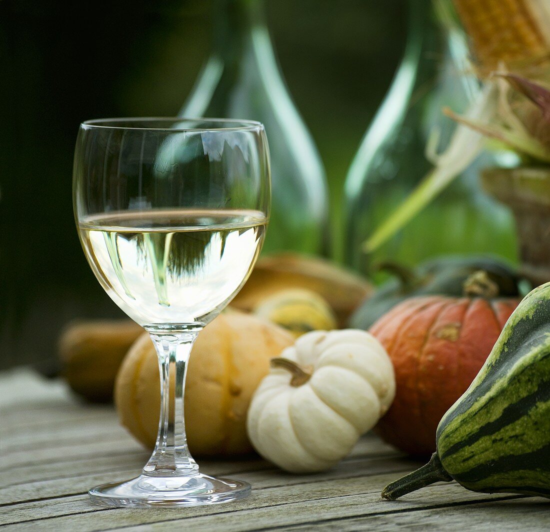 A glass of white wine and pumpkins on a wooden table