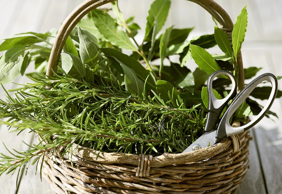 Rosemary, bay leaves and sage in a basket