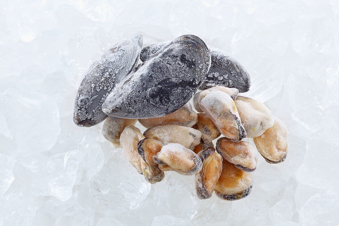 Frozen mussels