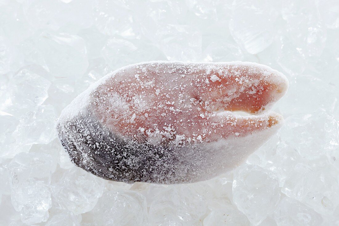 Gefrorenes Lachskotelett auf Eis