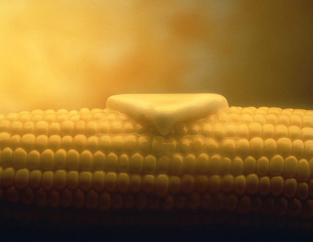 Butter Melting on Corn on the Cob