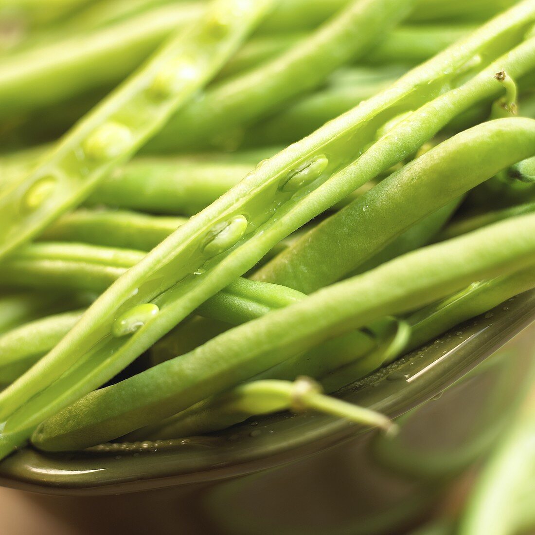 Bowl of Green Beans; Close Up