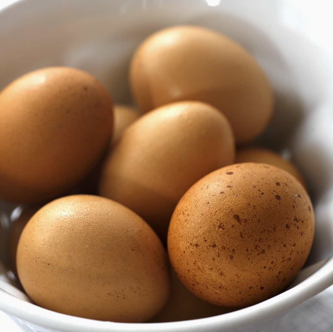 Fresh Brown Eggs from Iceberg Farms in New Jersey