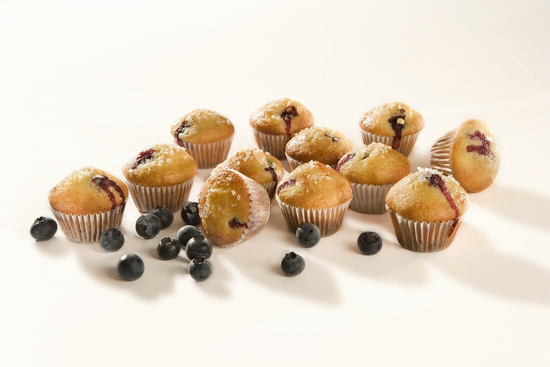 Mini-Heidelbeermuffins und frische Heidelbeeren