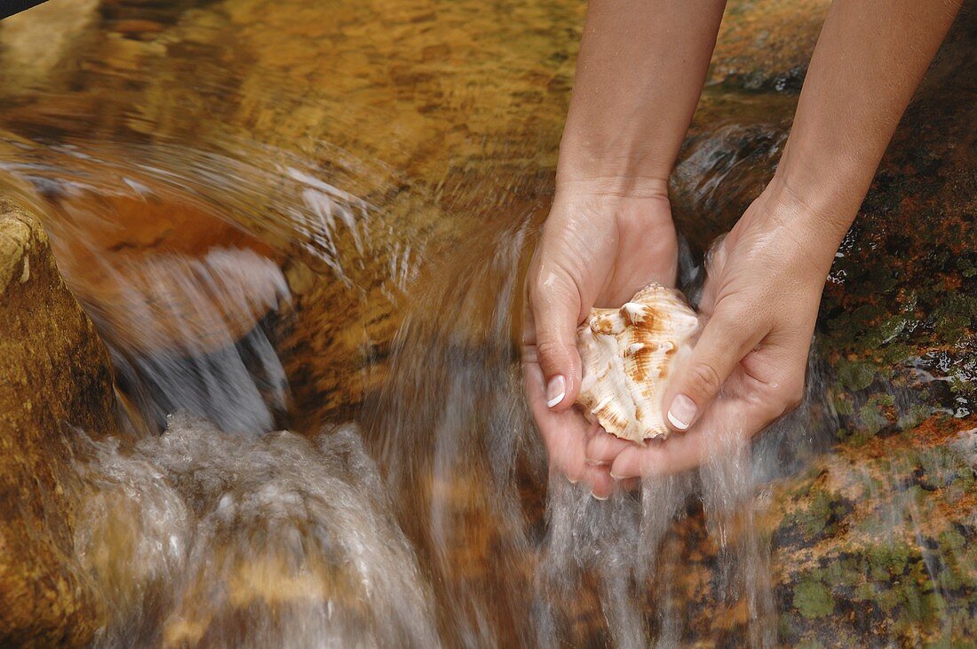 A woman holding shells under running water