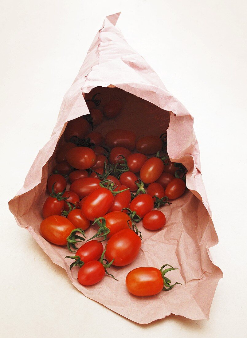 Lots of tomatoes in a paper bag