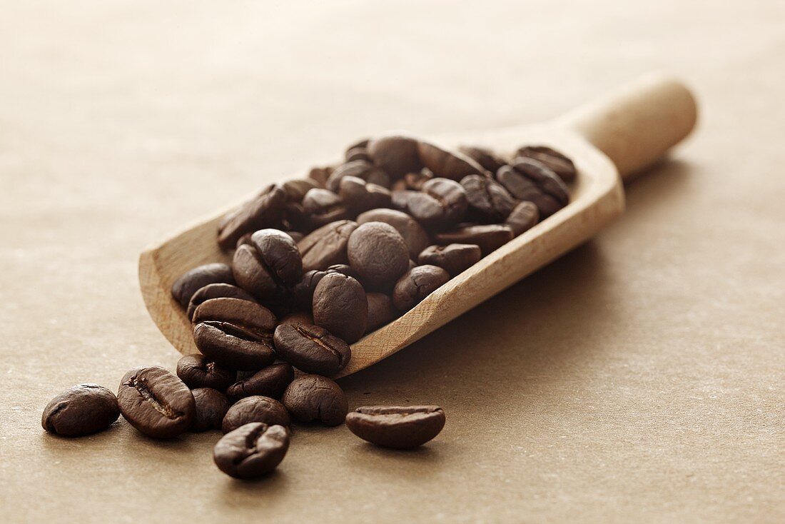 Coffee beans on a wooden scoop