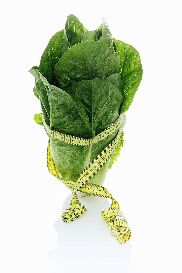 A cos lettuce with a tape measure