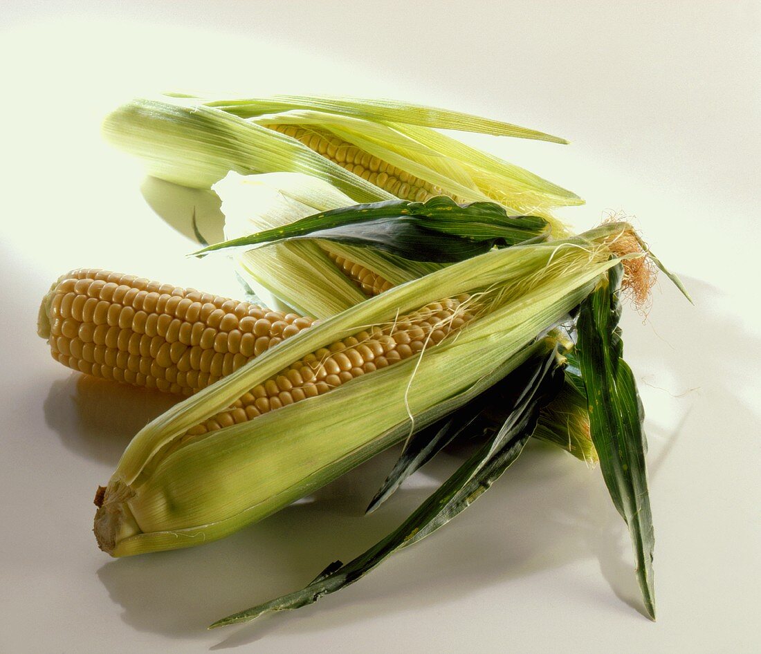 Several corncobs