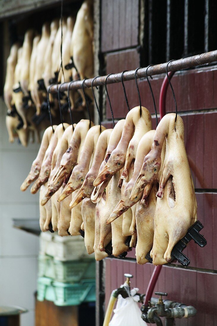 Gerupftes, aufgehängtes Geflügel auf einem Markt in Asien