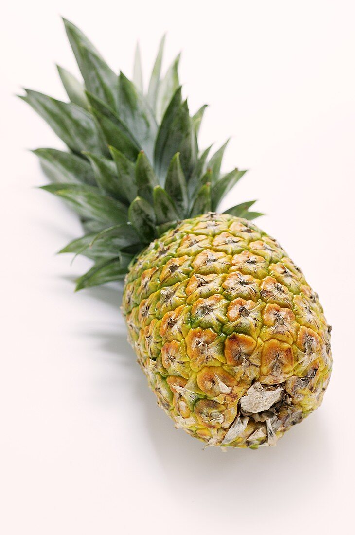 A pineapple