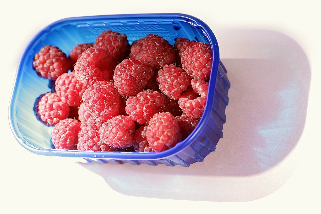 Raspberries in a blue plastic container