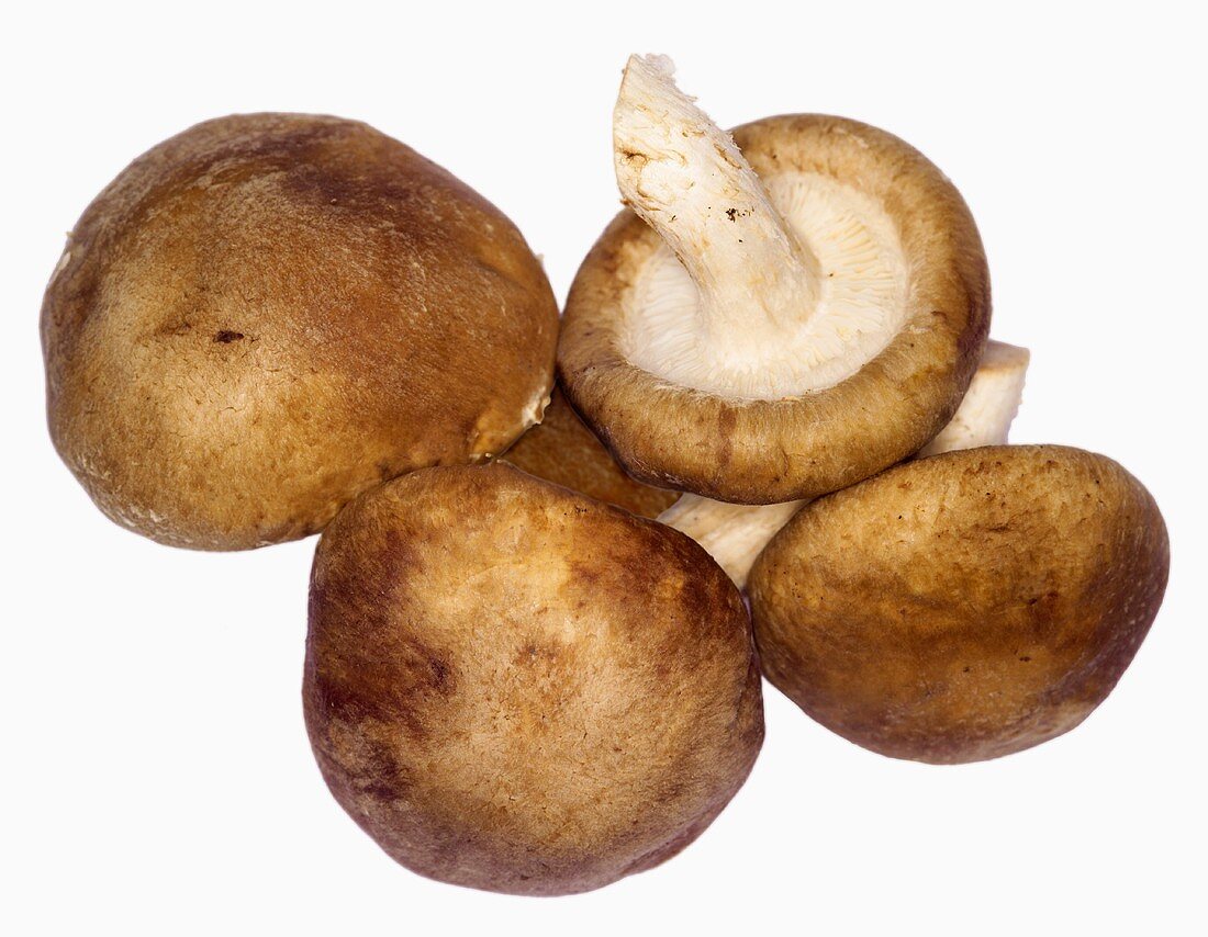 Shiitake mushrooms