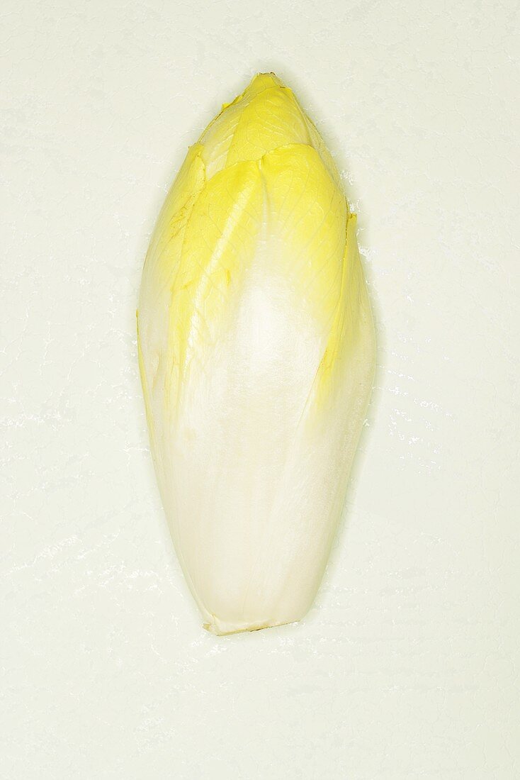 A head of chicory