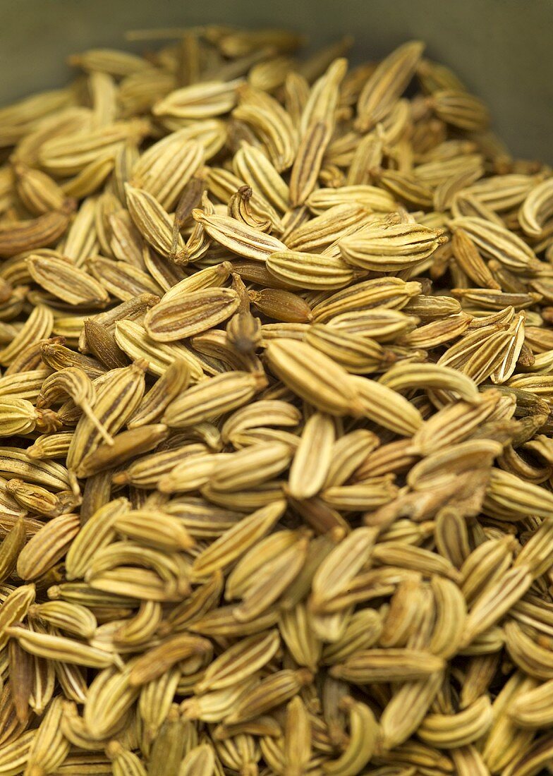 Gewürzfenchel