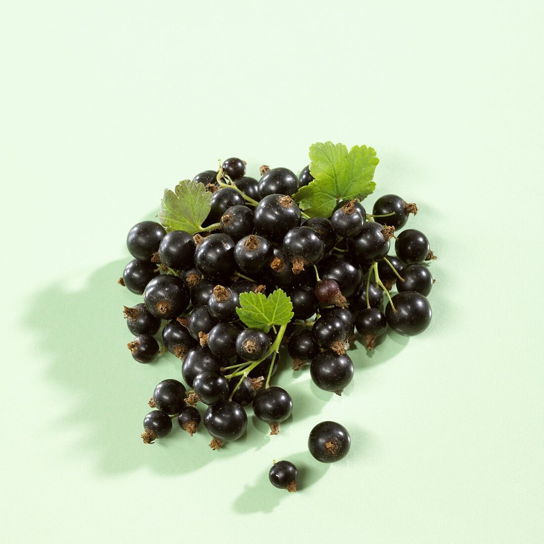 Blackcurrants