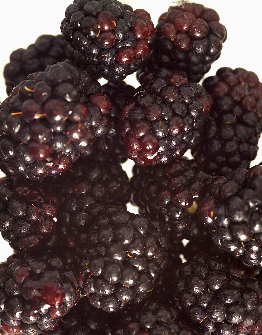 Blackberries, filling the picture