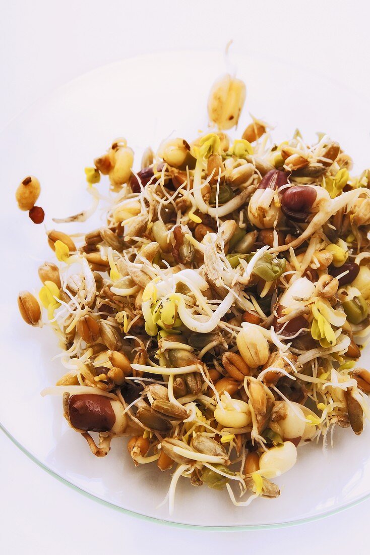 Assorted sprouts on a glass plate