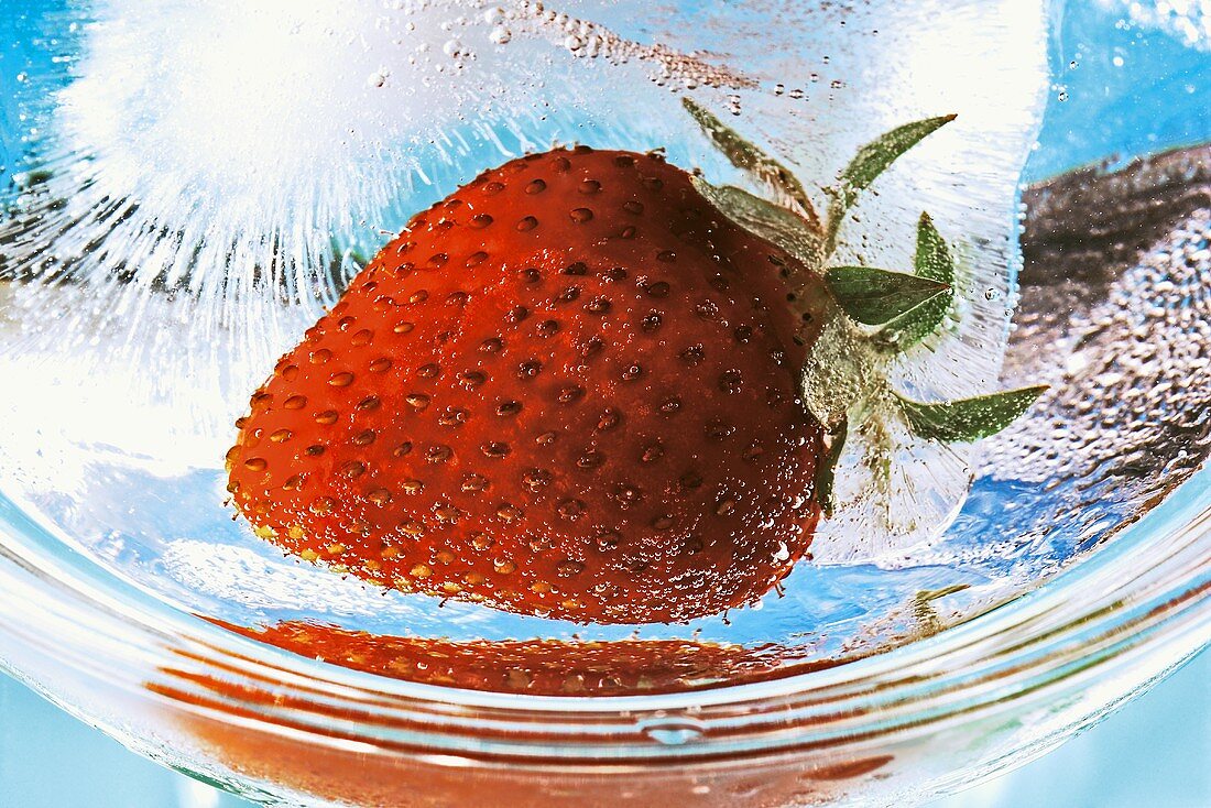 Strawberry frozen in a block of ice