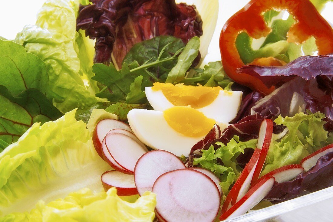 Healthy mixed salad