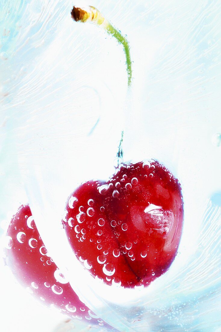 Cherry frozen in a block of ice
